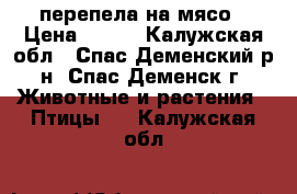 перепела на мясо › Цена ­ 800 - Калужская обл., Спас-Деменский р-н, Спас-Деменск г. Животные и растения » Птицы   . Калужская обл.